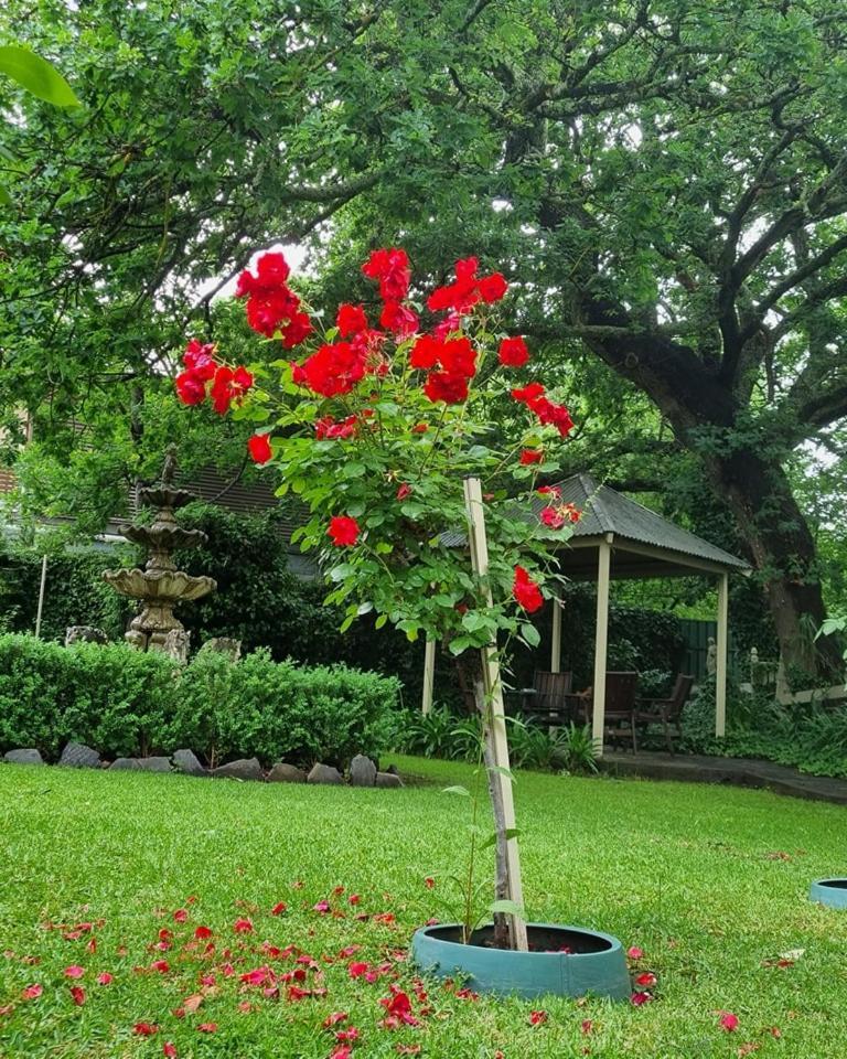 Hahndorf House B&B Extérieur photo